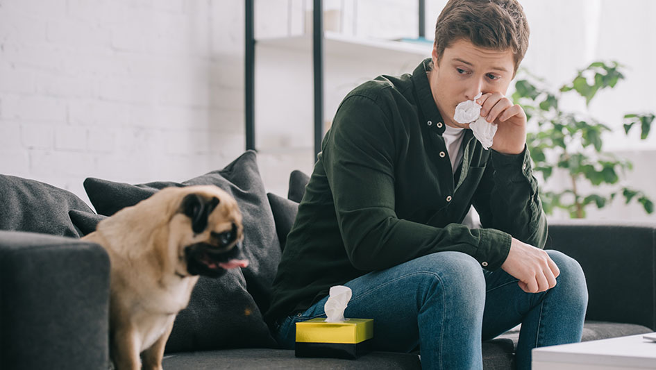 Installing an air purifier is one of the best approaches to improve your house’s indoor air quality. Learn more about the three smartest products. 